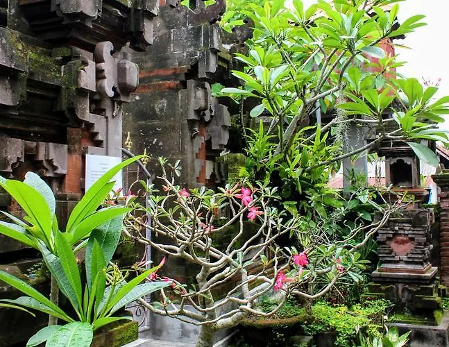 Zimong House Séjour chez l'habitant Ubud