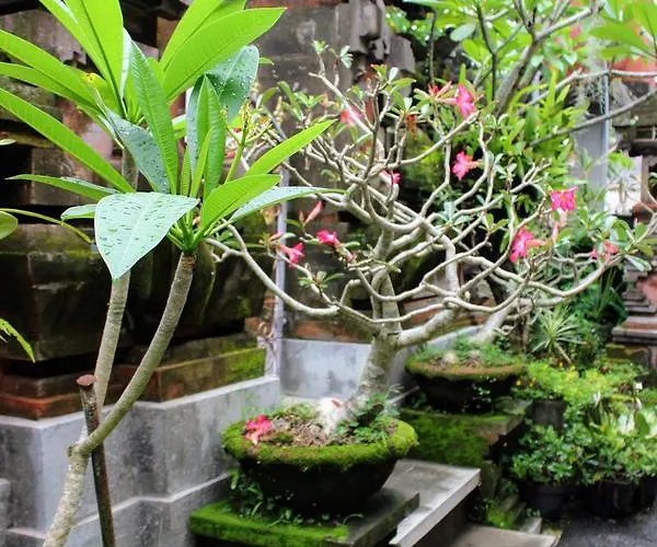 Zimong House * Ubud